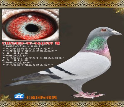 ����240ֱ�����240��Ů