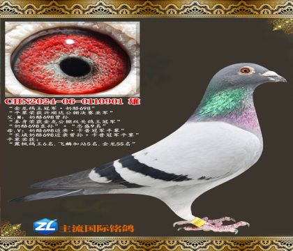 ���������ھ�������698