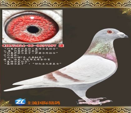 �������ƶ�ֱ����ض���Ů