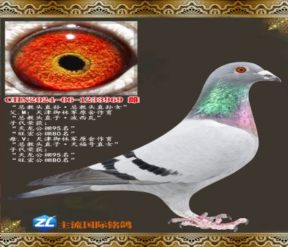 �ܽ�ͷֱ��ܽ�ͷֱ��Ů