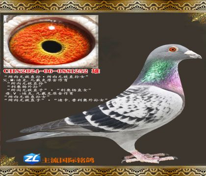 �����޵�ֱ������޵�ֱ��Ů