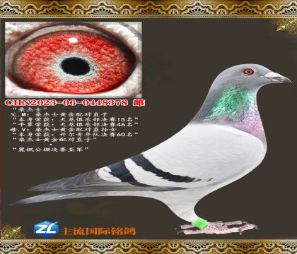 ɣ��ʿ�ƽ����ֱ�ӡ��ƽ��ֱ��Ů