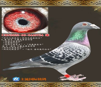 �����޵�ֱ������޵�ֱ��Ů