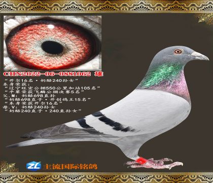 ����16��������240��Ů