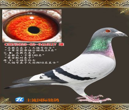 �ܽ�ͷֱ�ӡ��츣����Ů