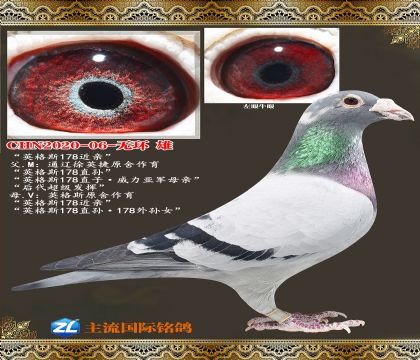 Ӣ��˹178����