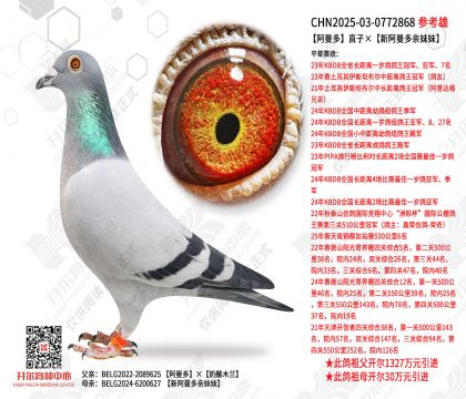 ������ֱ�ӡ��°�����������