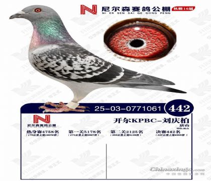 25������ɽ���ɭ����442��