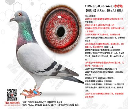 ��ӥ300���ֵܡ������ֱ��Ů