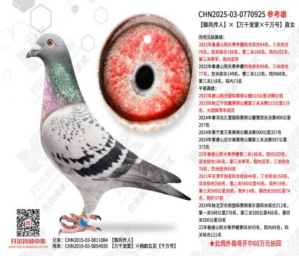 ���紫�ˡ�����ǧ�谮��ǧ��š�ֱŮ