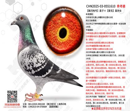 �������ֱ�ӡ�����ֱ��Ů