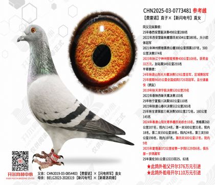 ����ŵֱ�ӡ��������ֱŮ