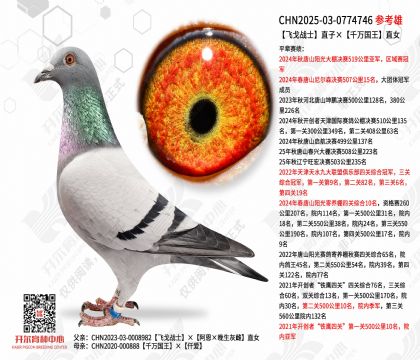 �ɸ�սʿֱ�ӡ�ǧ�����ֱŮ