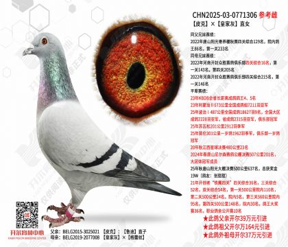 Ƥ�ˡ��ʼһ�ֱŮ