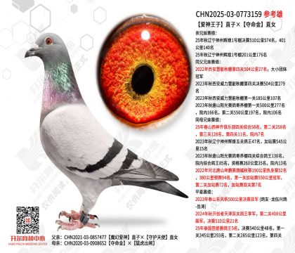 ��������ֱ�ӡ�������ֱŮ