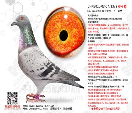 �߷������ԡ���������ֱŮ