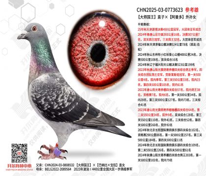 ��ʦ����ֱ�ӡ�����������Ů