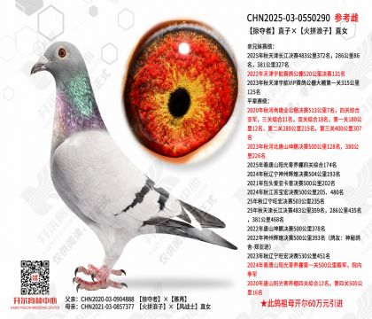 �Ӷ���ֱ�ӡ���ƴ����ֱŮ