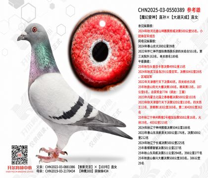 ħ�ð���ֱ���������ֱŮ