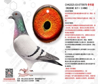 ��������ֱ�ӡ�С����