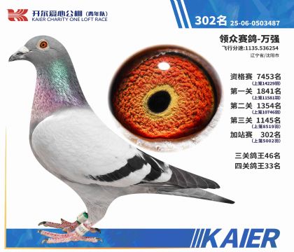 2025�꿪����������Ӽ�վ��302�����ۣ�