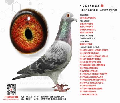 2����24-8413030