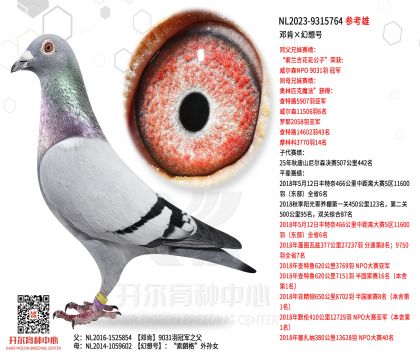 2����23-9315764