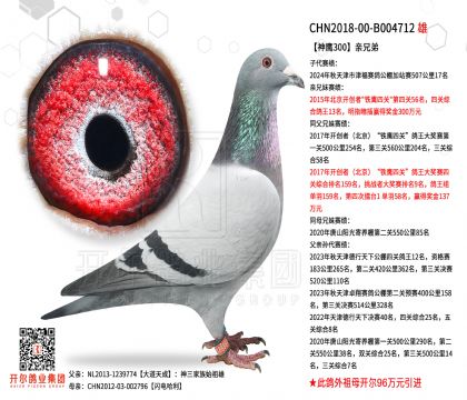 2����-B004712