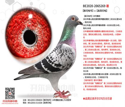 2����-2065269