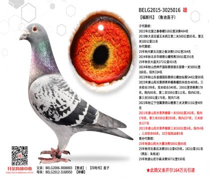 2����15-3025016