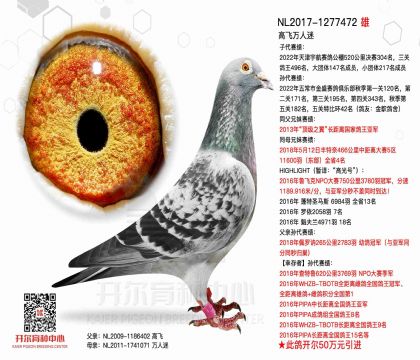 2����-1277472