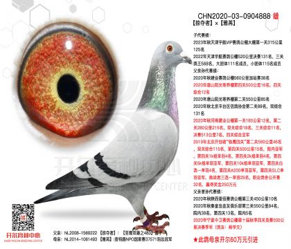 2����0904888