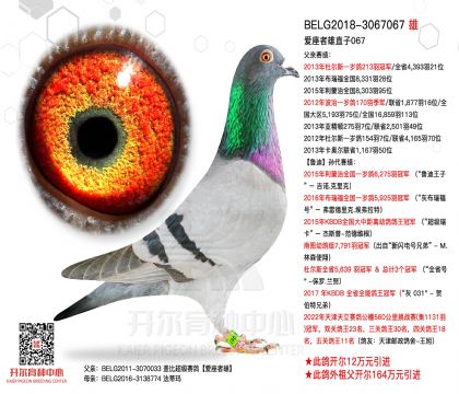 1����-3067067