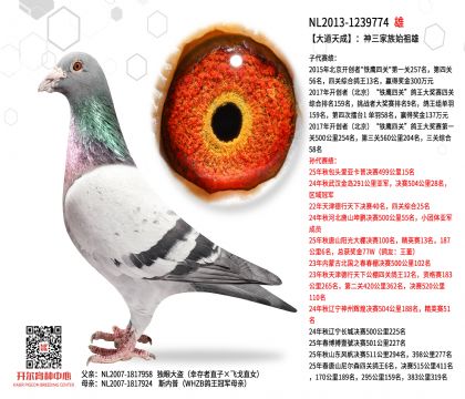 3���游13-1239774