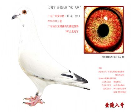 5������ʱ ��˼���ڡ��� ��ū��