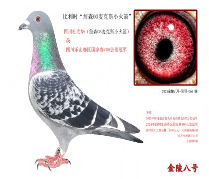 6������ʱ��ղɭ03���˹С�����