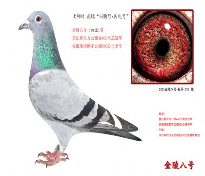 8������ʱ �Ǳȡ��׸���x����š�