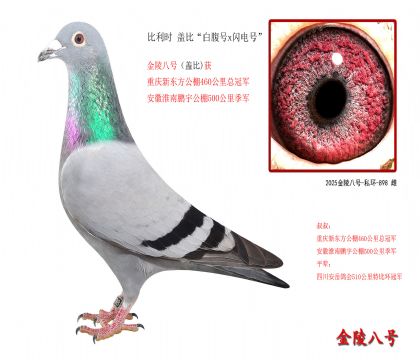 9������ʱ �Ǳȡ��׸���x����š�