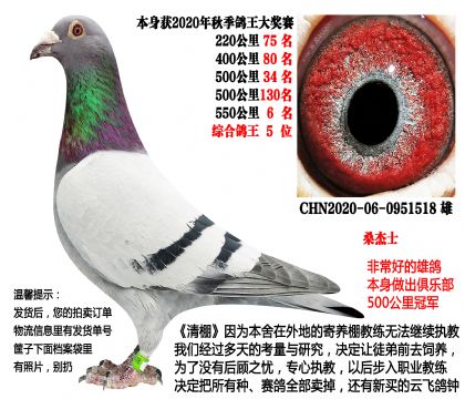 20���＾��سɼ��룬����5λ��ɣ��ʿ��