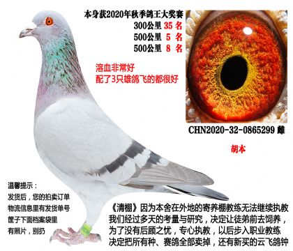 20���＾500����5����500����8����������