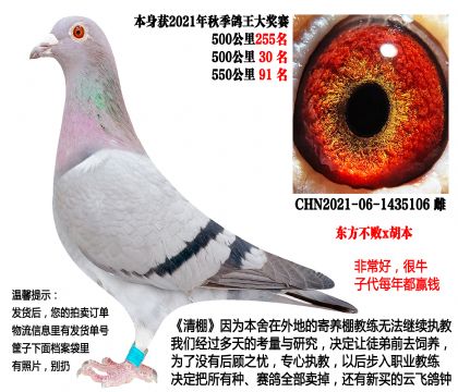 21���＾��سɼ��루��������x������