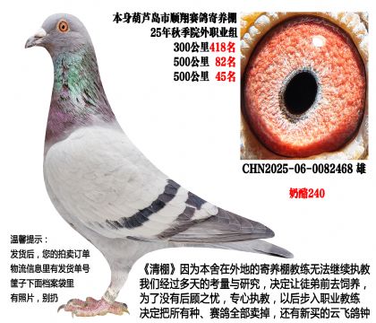 25�괺���ɼ��루����240��