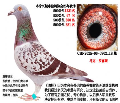 25���＾�Ĺسɼ��루���ˡ���ɭ˹��