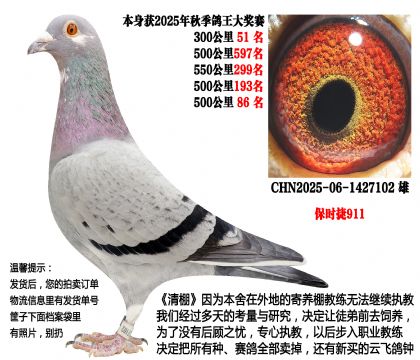 25���＾�ɼ��루��ʱ��911��