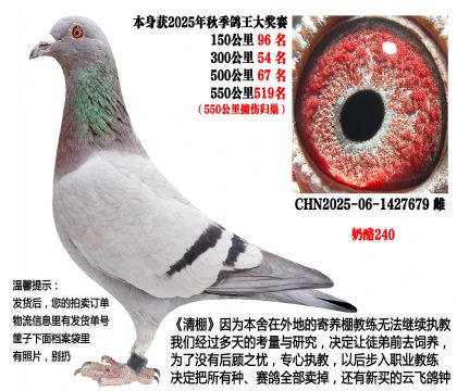 25���＾��λ�ɼ��루����240��