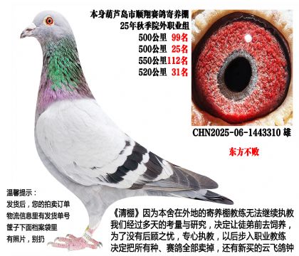 25���＾�Ĺسɼ��루�������ܣ�