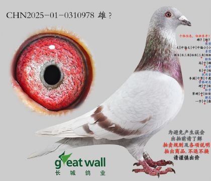 1.����ͷ���.0310978