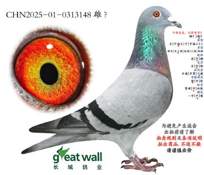 4.���������.0313148