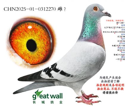 3.����Ů�����.0312270