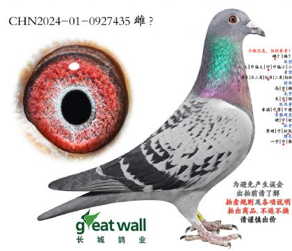 5.ŭ��xͼ��˹.0927435